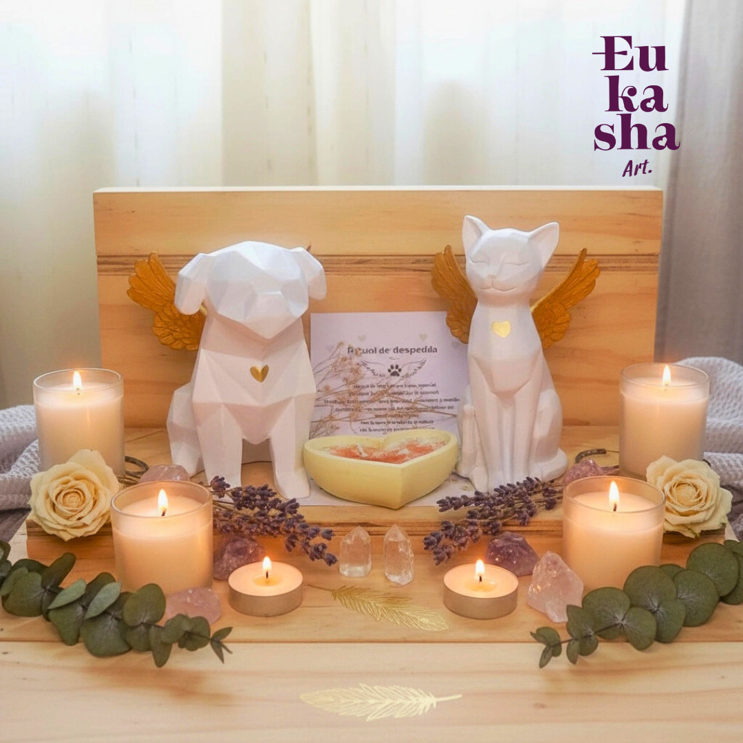 Despedida compañero fiel